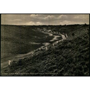 Dalen med Herredssten - Kongenshus Mindepark - Kongenshus 94416 - Ubrugt