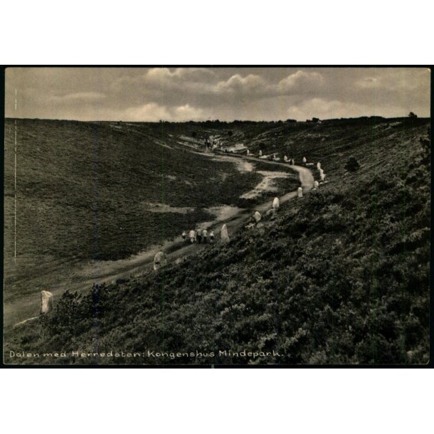 Dalen med Herredssten - Kongenshus Mindepark - Kongenshus 94416 - Ubrugt
