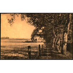 Tisvilde Hegn - S. Nielsen 51288 - Brugt