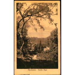 Paradisdalen - Tisvilde Hegn - S. Nielsen 4263 - Brugt