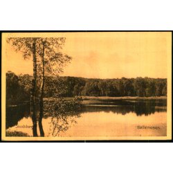 Skodsborg - B�llemosen  - Stender 5963 - Brugt