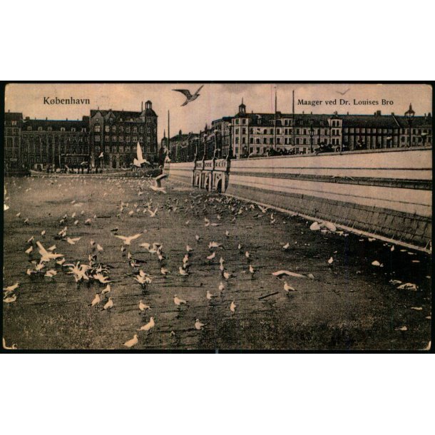 K�benhavn - Maager ved Dr. Louises Bro - u/n - Brugt