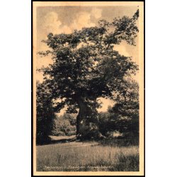 Jgerspris - Snoegen - Nordskoven - Rudolf Olsen 228 - Ubrugt