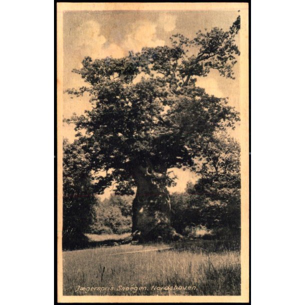 Jgerspris - Snoegen - Nordskoven - Rudolf Olsen 228 - Ubrugt