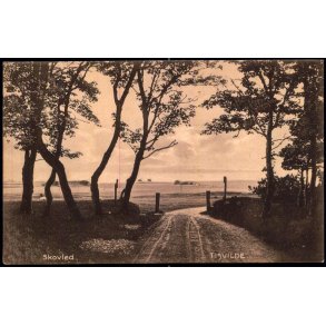 Skovled - Tisvilde - Knud Poulsens Bogh. 22088 - Brugt