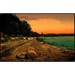 Aabenraa - Strand ved Aab�k - G.Gi�sing 5167 - Ubrugt