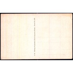 Bornholm - Parti fra Hammershus Ruiner - Colbergs Bogh. 530 - Ubrugt