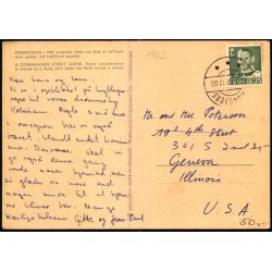 Kbenhavn - Andemor leder sin flok af llinger over gaden - Photoprint 153 - Brugt