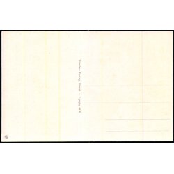 Lyngby - Parti fra Sorgenfri Slotspark - Stender L. 64 K - Ubrugt