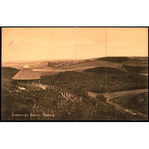 Svanninge Bakker - Faaborg - F.C. Alstr�ms Bogh. 38783 - Ubrugt