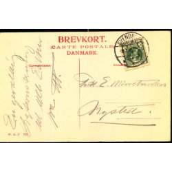 Svendborg - Hestehaven med Villa Taarnborg - W.K.F. 973 - Brugt