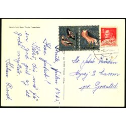 North Star Bay - Thule - Greenland - Wister u/n - Brugt