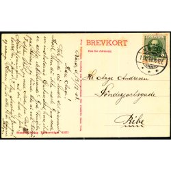 Parti fra N�rholm ved Varde - Stender 15974 - Brugt