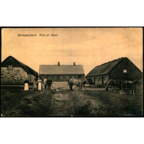 Sandagergaard - Rind pr. Skals - G.O. Larsen u/n - Ubrugt