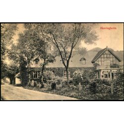 Hevringholm - L. Chr. Larsen u/n - Ubrugt