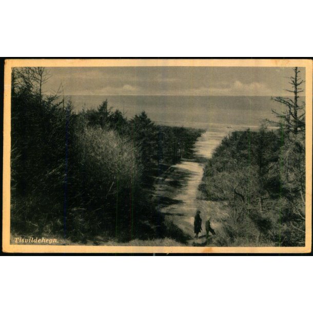 Tisvilde Hegn - Rudolf Olsen 9282 - Brugt