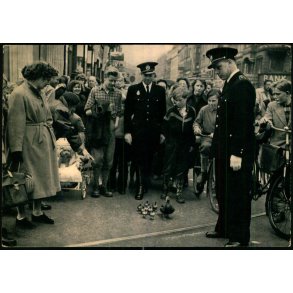 Kbenhavn - Andemor leder sin flok af llinger over gaden - Photoprint 153 - Brugt