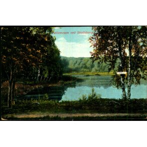 B�llemosen ved Skodsborg - C.F. 502 - Brugt