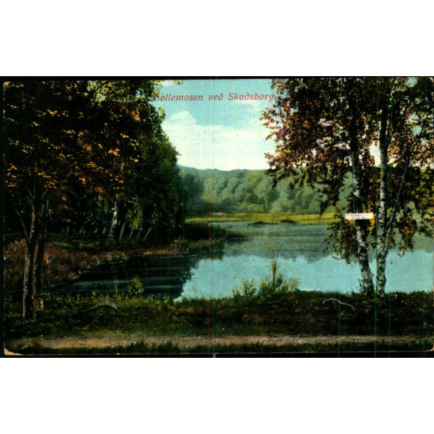 B�llemosen ved Skodsborg - C.F. 502 - Brugt