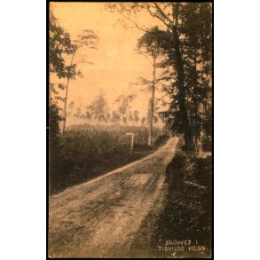 Skovvej i Tisvilde Hegn - S. Nielsen u/n - Ubrugt