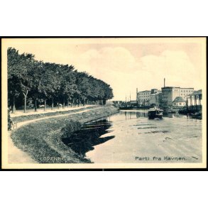 Odense - Parti fra Havnen  - Stender 16365 - Ubrugt