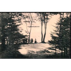 Nyborg - Teglv�rksskoven - Peter Alstrup 7121 - Brugt