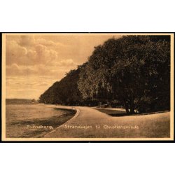 Svendborg - Strandvejen til Christiansminde - Johs. Broersens Forlag 182 - Ubrugt