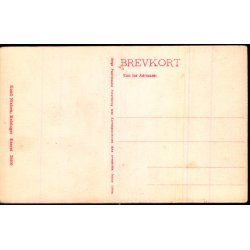 Borgen K.F.U.M. - Helsing�r - K. Nielsen 20400 - Ubrugt