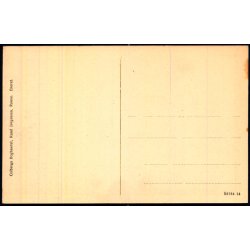 Bornholm - Parti fra Hammershus Ruiner - Colbergs Bogh. u/n - Ubrugt