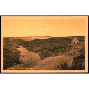 Svanninge Bakker - Faaborg - David I. Bager 38879 - Ubrugt