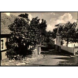 Figentret - Gudhjem - Gudhjem Bogh. 94584 - Ubrugt