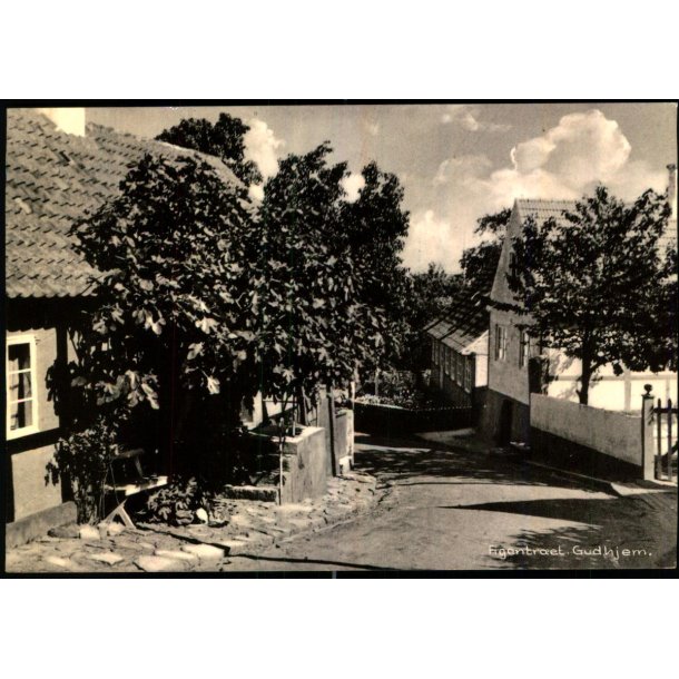 Figentret - Gudhjem - Gudhjem Bogh. 94584 - Ubrugt