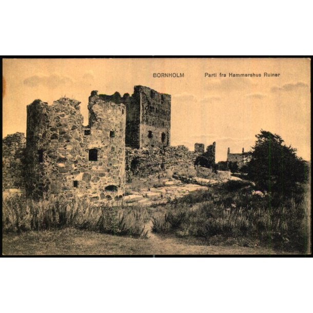 Bornholm - Parti fra Hammershus Ruiner - Colbergs Bogh. u/n - Ubrugt