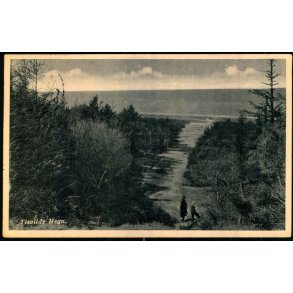 Tisvilde Hegn - Rudolf Olsen 9282 - Brugt