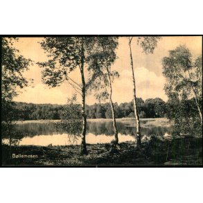 B�llemosen - Flor u/n - Ubrugt