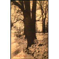 Lyngby - Parti fra Sorgenfri Slotspark - Henriksens Bogh. 60533 - Ubrugt - Har v�ret kl�bet op !