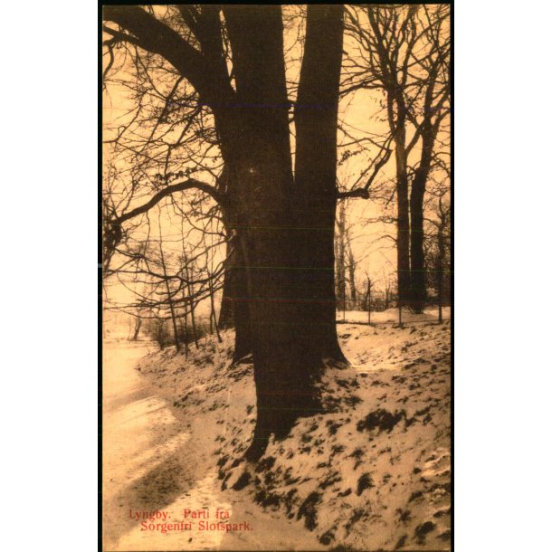 Lyngby - Parti fra Sorgenfri Slotspark - Henriksens Bogh. 60533 - Ubrugt - Har v�ret kl�bet op !