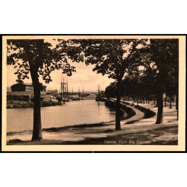 Odense - Parti fra Havnen  - Stender  u/n - Ubrugt