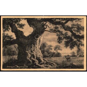 Snoegen - Jgerspris - u/n - Ubrugt