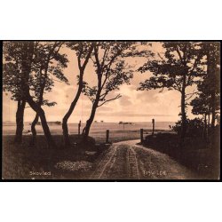 Skovled - Tisvilde - Knud Poulsens Bogh. 22088 - Ubrugt