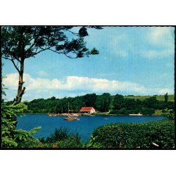 Parti fra Dyrvig - Eneret 143 825 012 - Ubrugt