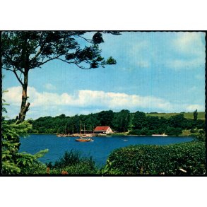 Parti fra Dyrvig - Eneret 143 825 012 - Ubrugt