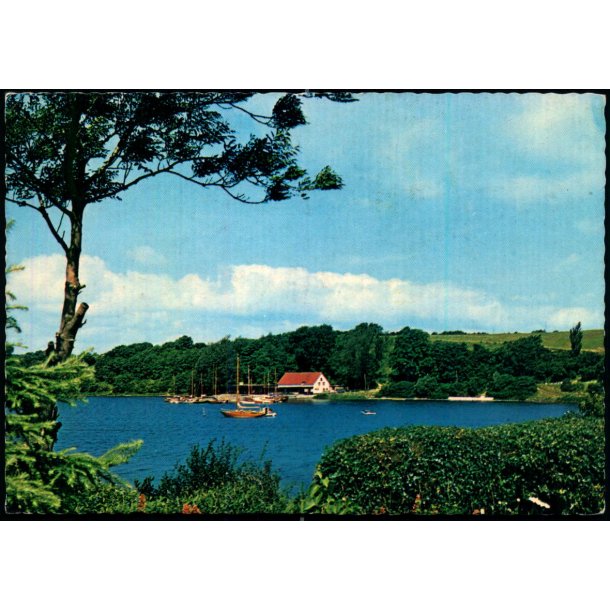 Parti fra Dyrvig - Eneret 143 825 012 - Ubrugt