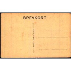 Sdr. Omme " Tivoli" - Dansk Lystrykkeri u/n - Ubrugt