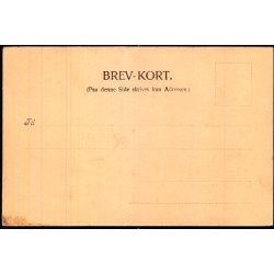 Hilsen fra Helsingr - Jrnbanehotellet - B.M. &amp; Co. No. 106 - Ubrugt