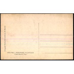 Hulvej i Hornb�k Plantage - V. T�rck u/n - Ubrugt