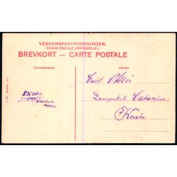 Aalborg - Pavillonen paa Skovbakken - C. St. 876 - Ubrugt