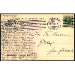 Kbenhavn - Elefantfamilien i Zoologisk Have - Levison u/n - Brugt