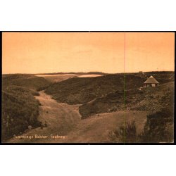 Svanninge Bakker - Faaborg - F.C. Alstr�ms Bogh. 38779 - Ubrugt