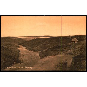 Svanninge Bakker - Faaborg - F.C. Alstr�ms Bogh. 38779 - Ubrugt